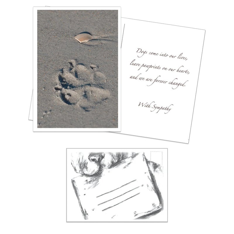 Dog Speak Pet Sympathy Card â€“ Paw Print in the Sand â€“ Pet Loss Condolence & Remembrance Card - Image 2